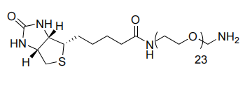 Biotin-PEG11-Amin