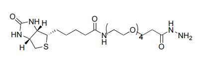Biotin-PEG4-Hydrazid