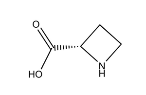 (R)-Azetidin-2-carbonsäure