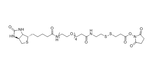 Biotin-PEG4-S-S-NHS