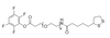 Lipoamido-dPEG8-TFP-Ester