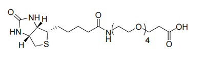 4,7,10,13-Tetraoxa-16-azaheneicosansäure, 21-(Hexahydro-2-oxo-1H-thieno[3,4-d]imidazol-4-yl)-17-oxo-