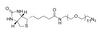 Biokonjugation Reversible Partikel Biotin-PEG11-CH2CH2N3