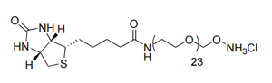Biotin-dPEG-Oxyamin.HCl