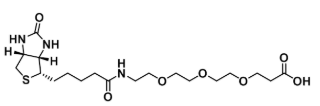 Biotin-PEG3-CH2CH2COOH
